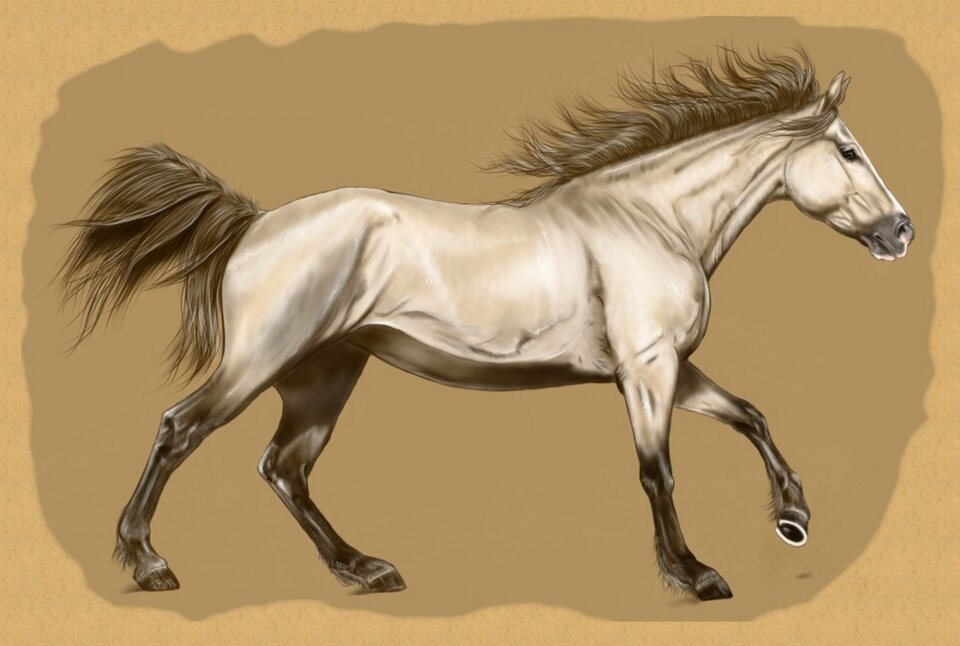 Digital artwork art Free illustrations