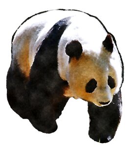Animal cute Free illustrations