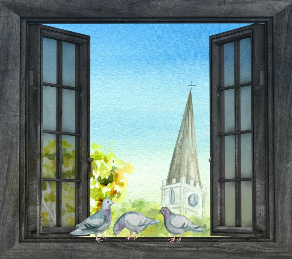 Window blue sky nature