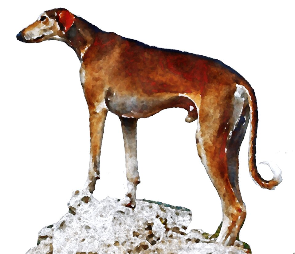 Animal dogs oekaki