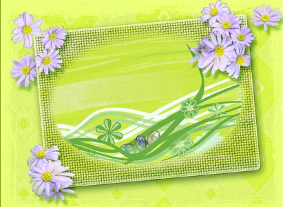Decoration purple flowers