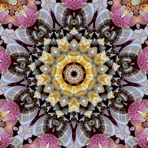 Mandala kaleidoscope Free illustrations