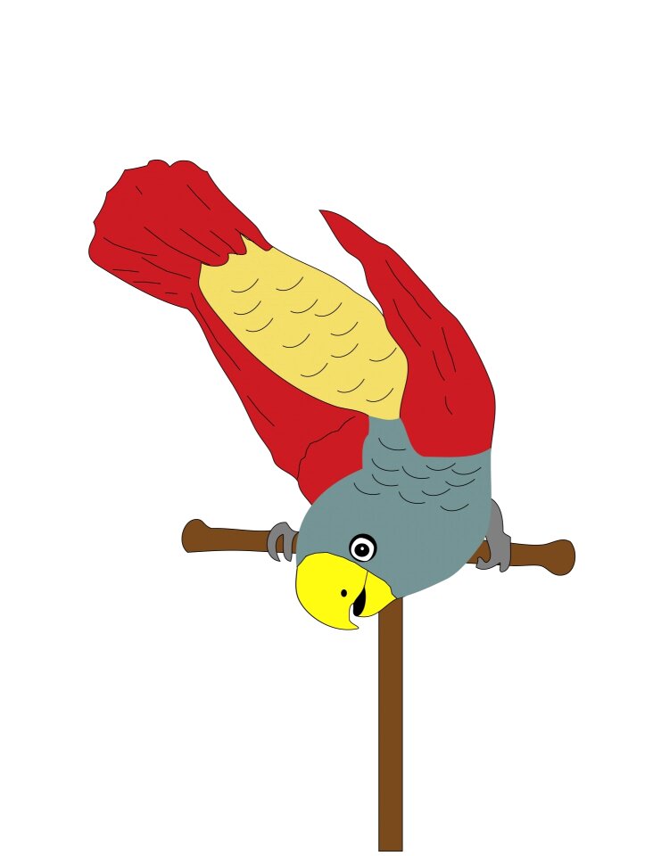 Pet cute cartoon