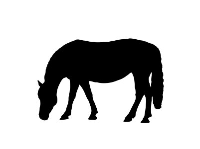 Animal black silhouette
