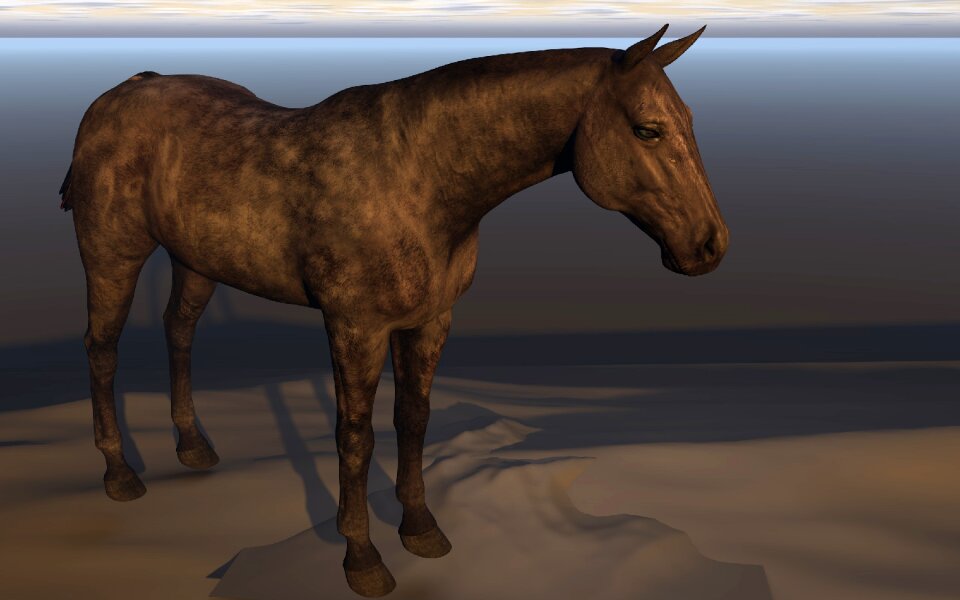 Atmosphere horse head equestrian
