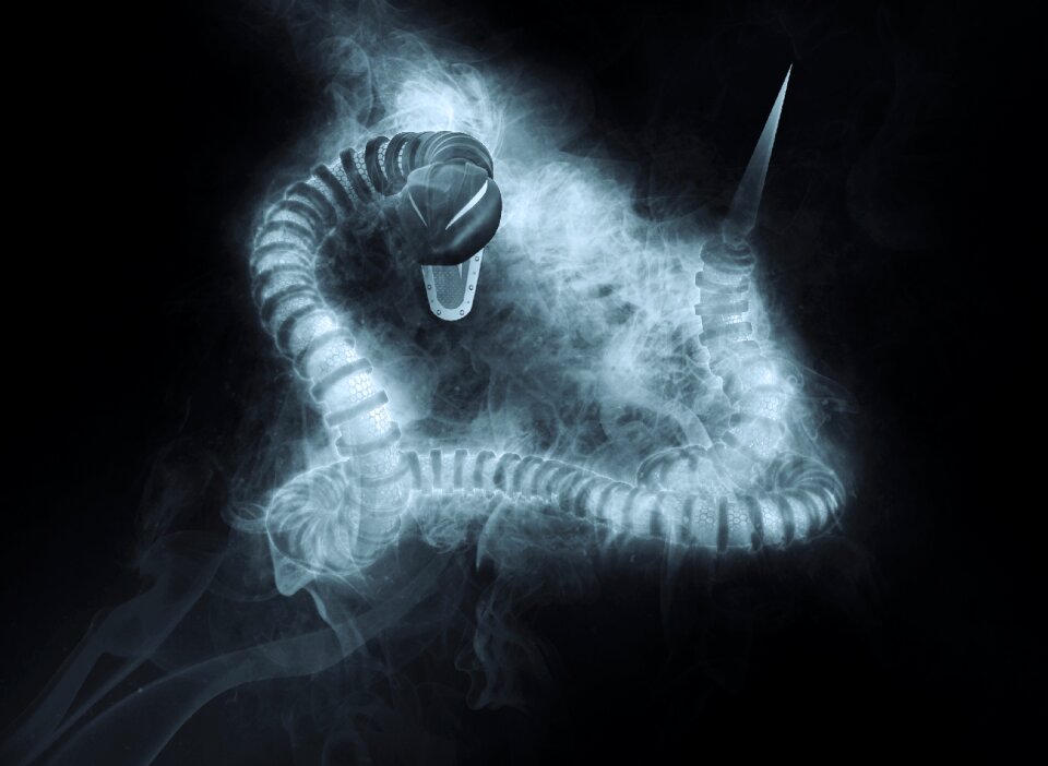 Wild viper serpent