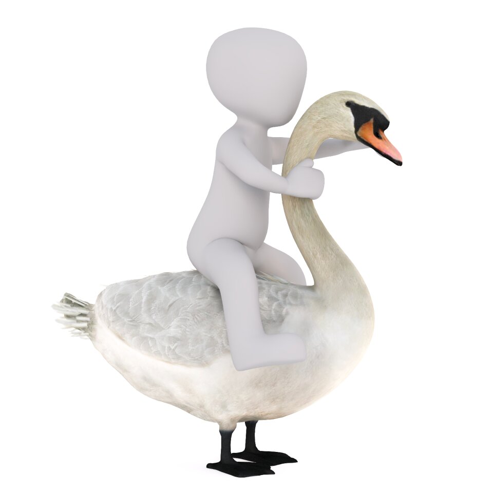 Isolated 3d model