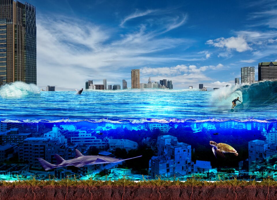 Blue fish Free illustrations