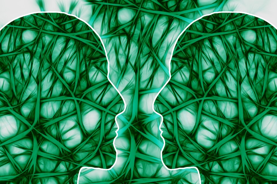 Face silhouette nerve cell