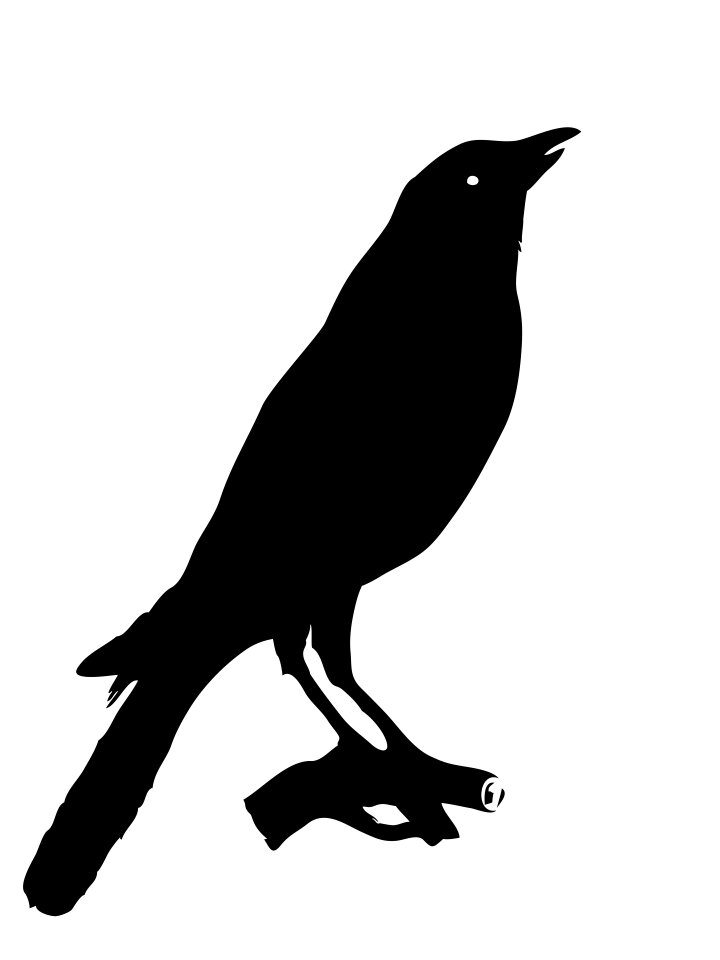 Black silhouette white