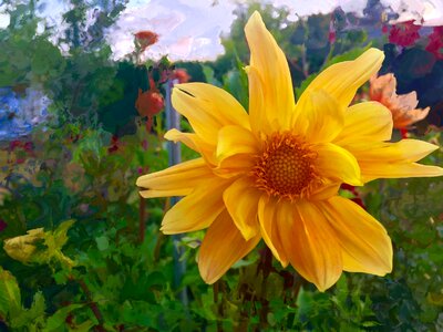 Yellow claire's sunshine Free illustrations