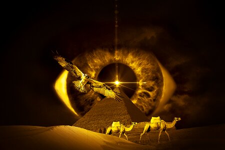 Desert camels sand