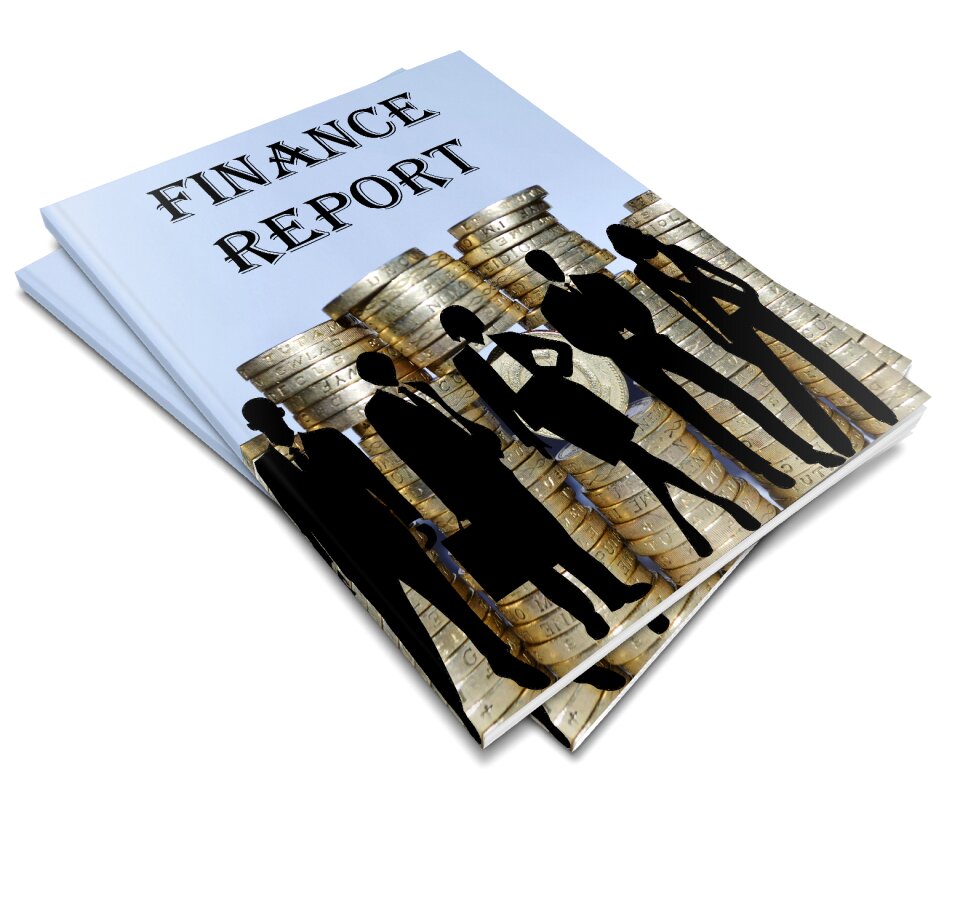 Financial tax economy