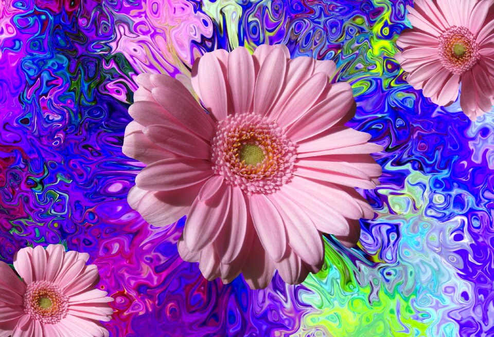 Nature color plant