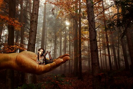 Giant fee fantasy
