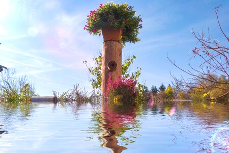 Flow flowers art
