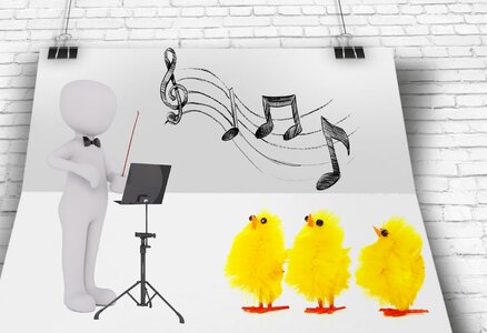 Funny chick lead frame