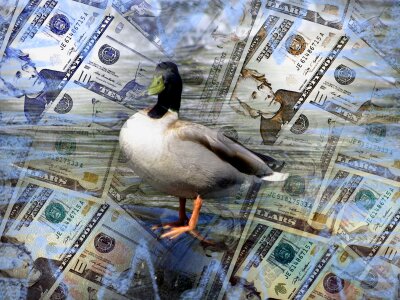 Finance currency caricature