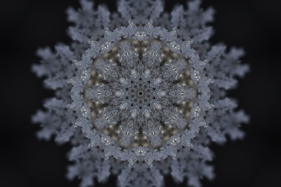 Pattern structure graphic