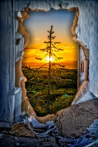 Romantic see through nature
