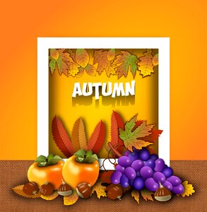 Fruits floral october