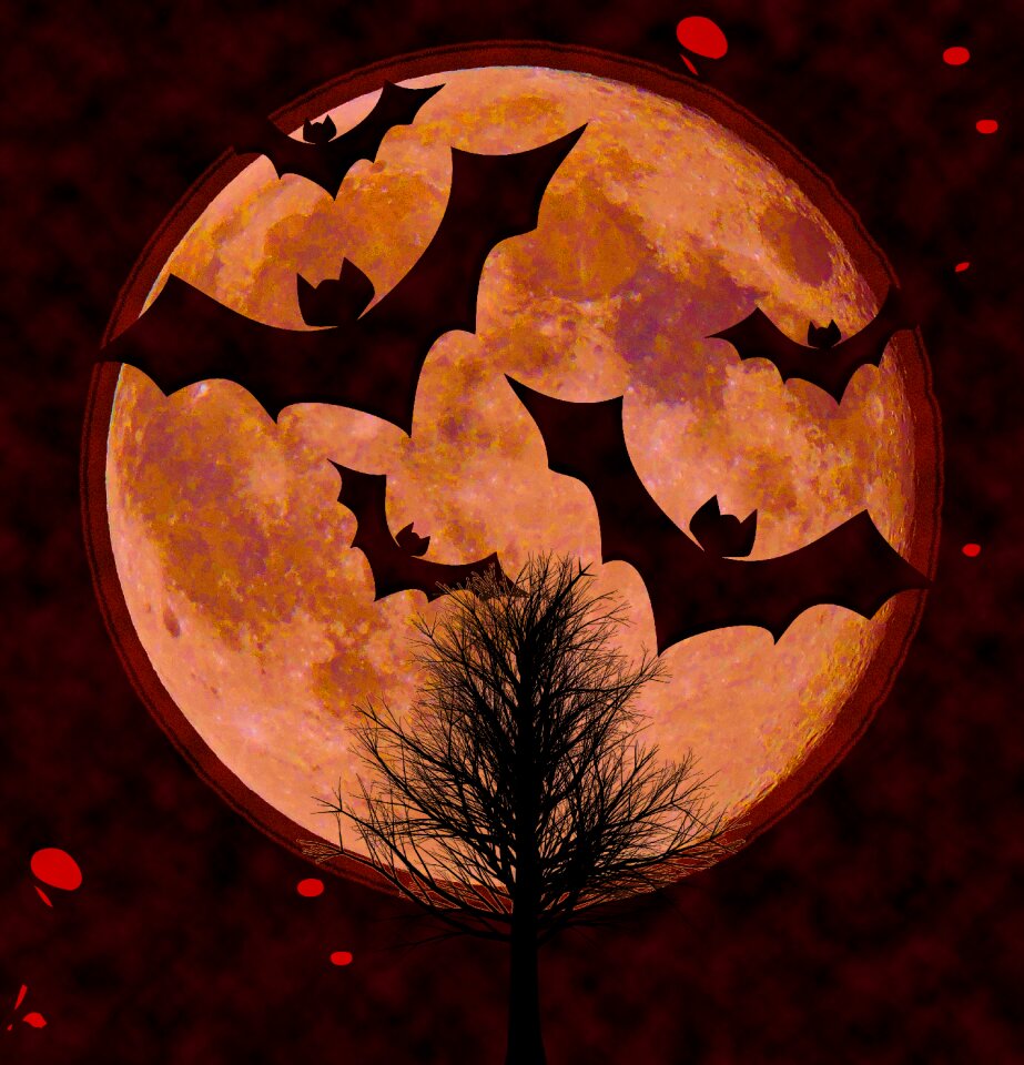Page halloween card invitation