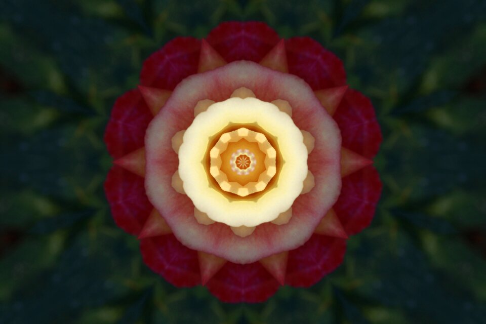 Pattern structure graphic