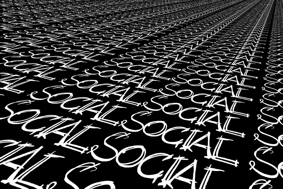 Perspective media social network