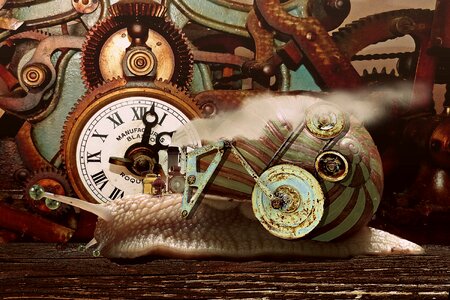 Animal steam industrial