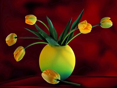 Plant arrangement Free illustrations