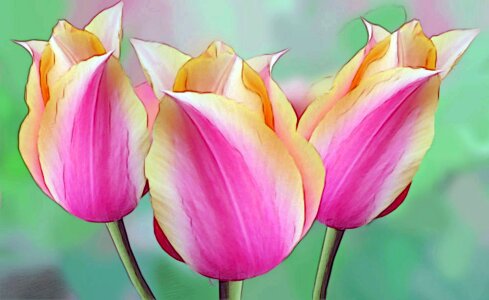 Arrangement plant easter