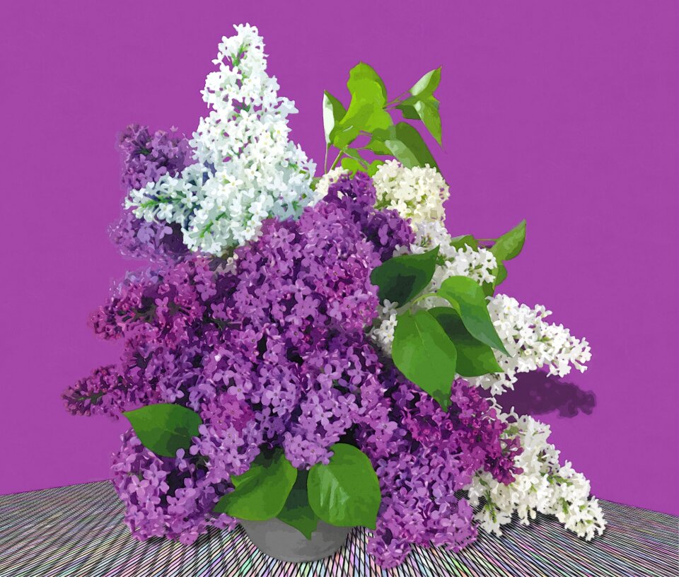 Vase flowers Free illustrations