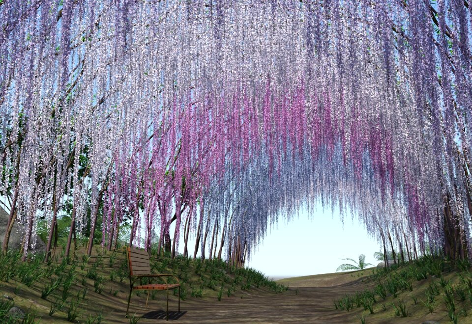 Park garden summer