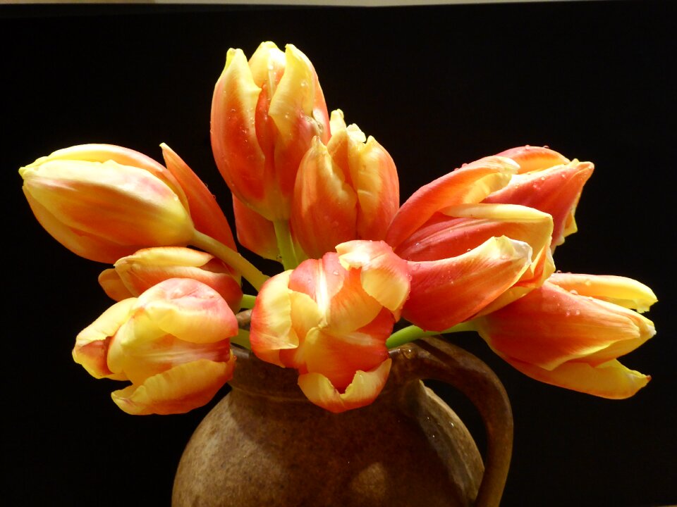 Salmon yellow flower vase