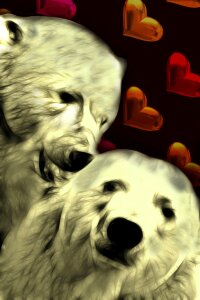Affection love romantic