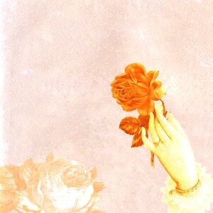Texture scrapbook vintage