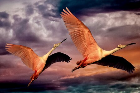 Nature clouds exotic
