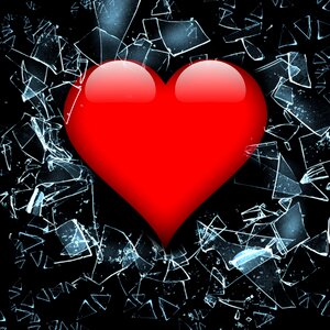 In love love joy