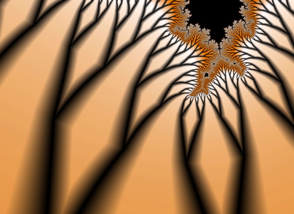 Pattern background abstract