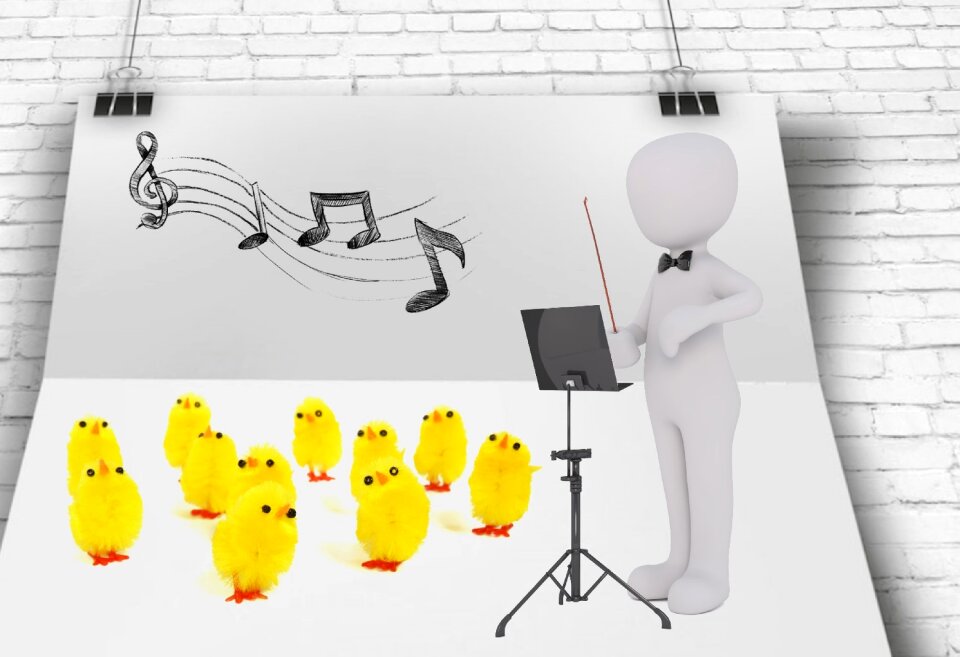 Funny chick lead frame