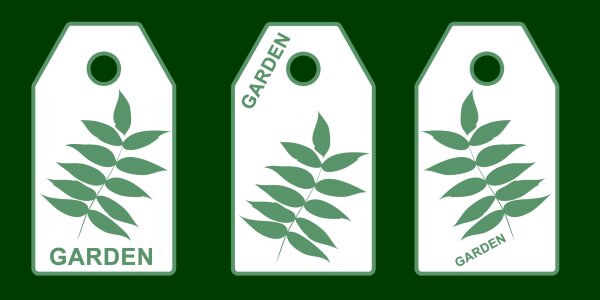 Green drawing plant