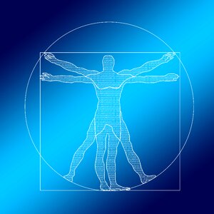 Null one vitruvian man