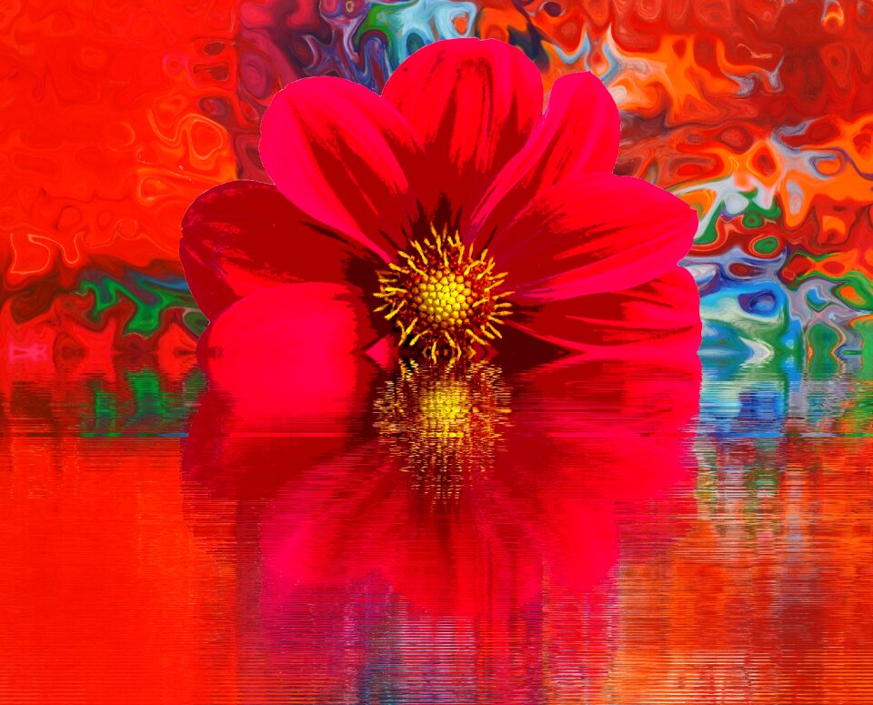 Nature red plant