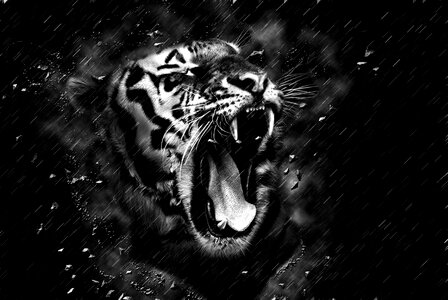 Portrait animal wild
