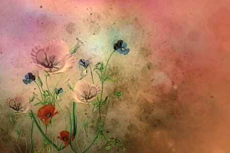 Floral nature plant