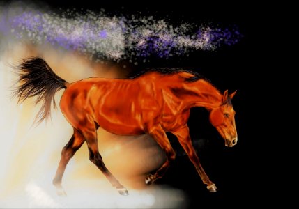 Digital painting animal digital artwork