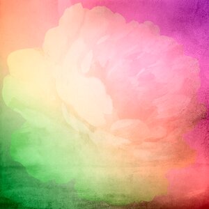 Flowers background background scrapbook