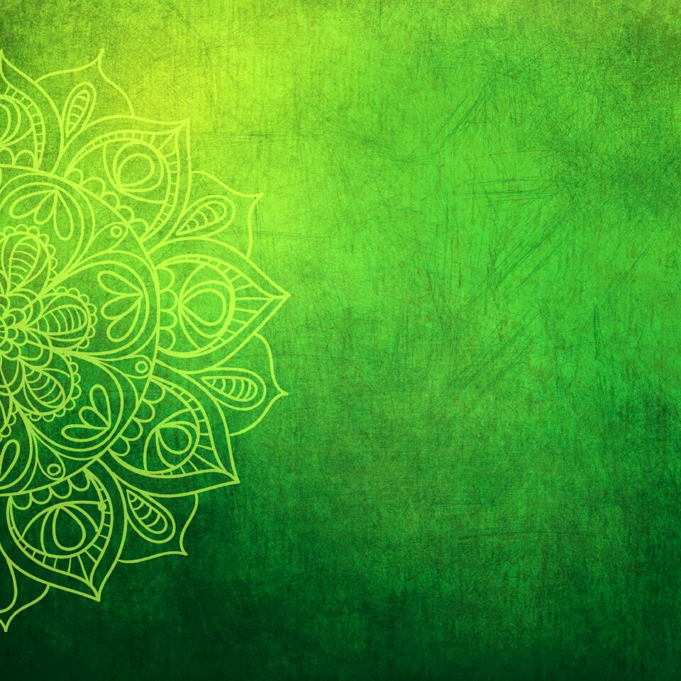 Flower green leaves colorful