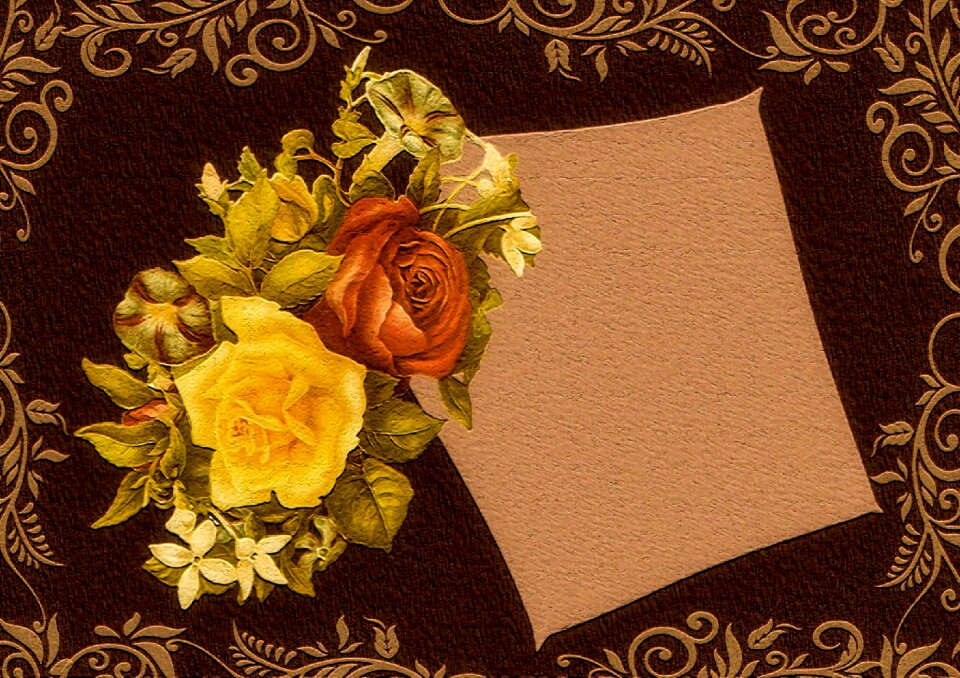 Roses romantic playful