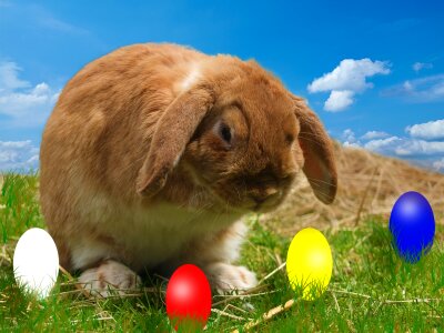 Easter easter eggs Free illustrations